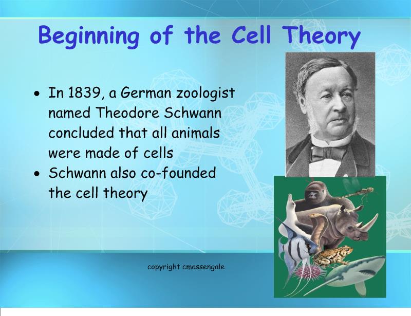 Cell Theory - Mrs. Thomas' classes