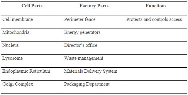 Parts Of A Cell And Their Functions Chart