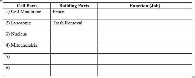 Plant Cell Parts And Functions Chart
